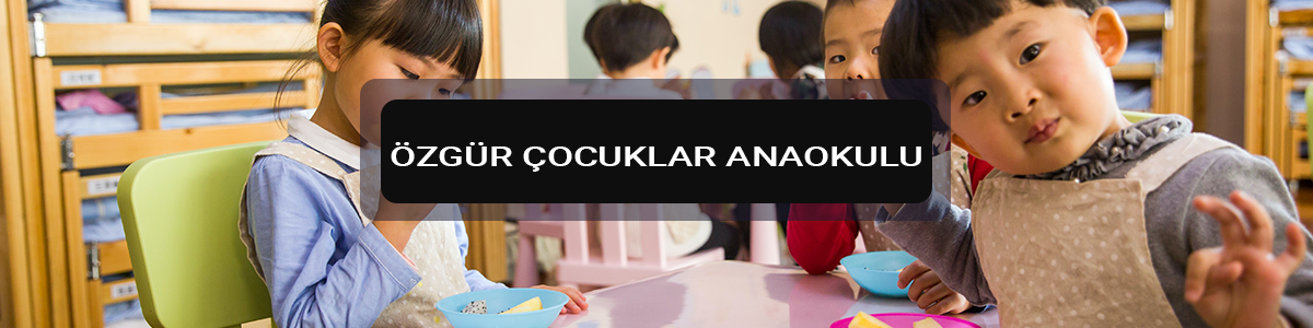 Özgür Çocuklar Anaokulu