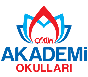 Çözüm Akademi Okulları